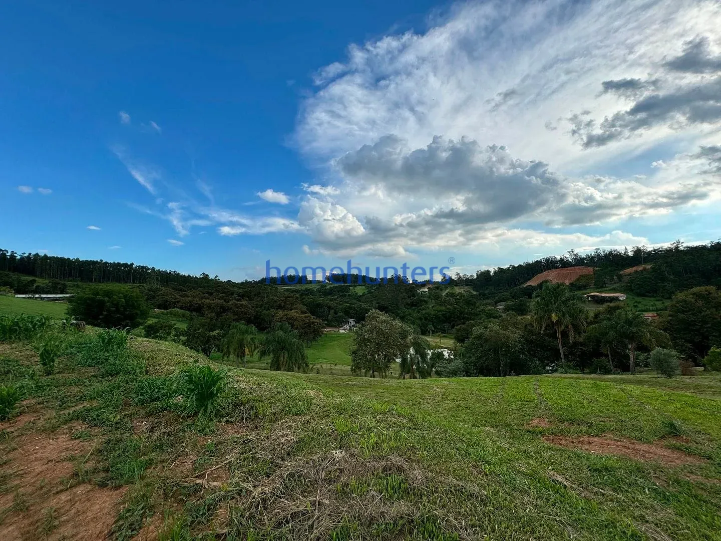 Terreno, 2 hectares - Foto 11