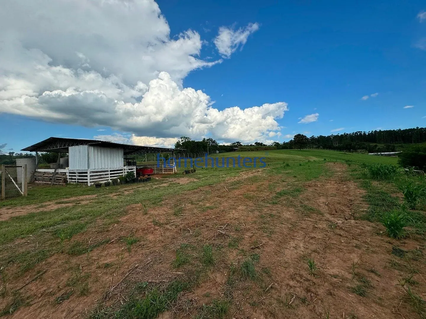 Terreno, 2 hectares - Foto 10
