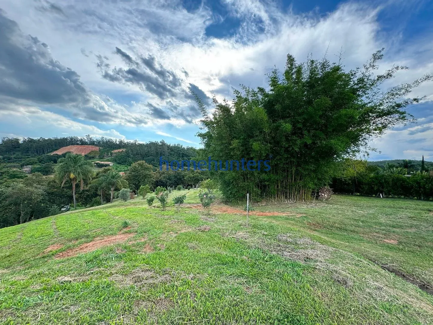 Terreno, 2 hectares - Foto 12