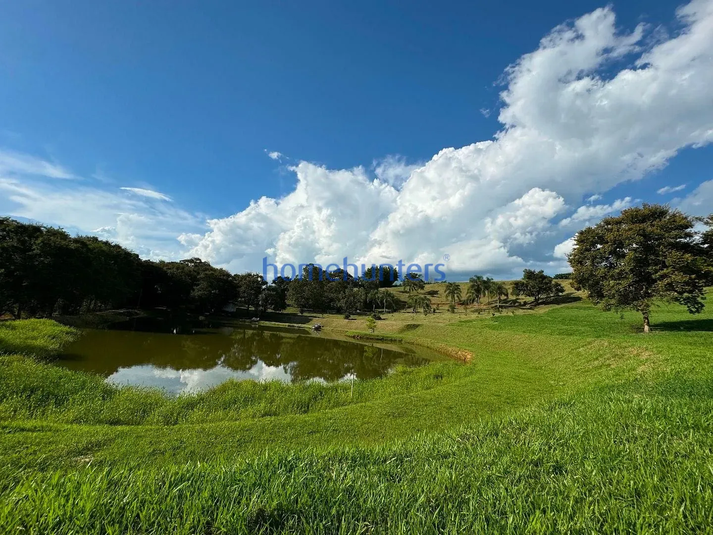 Terreno, 2 hectares - Foto 9