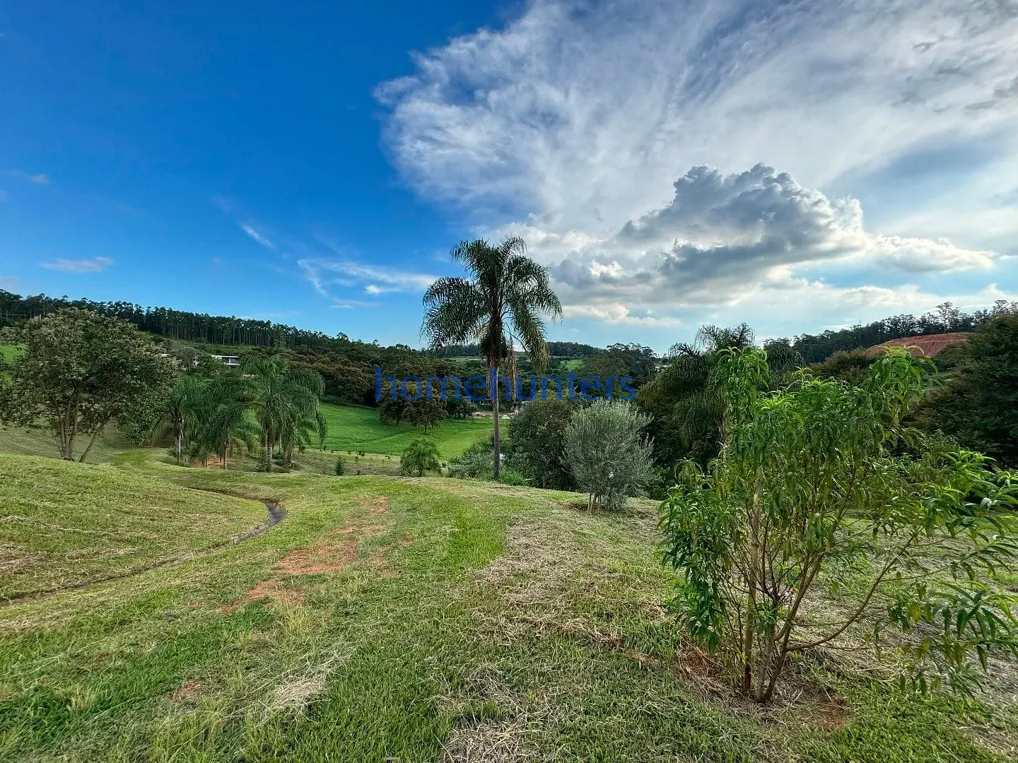 Terreno, 2 hectares - Foto 13