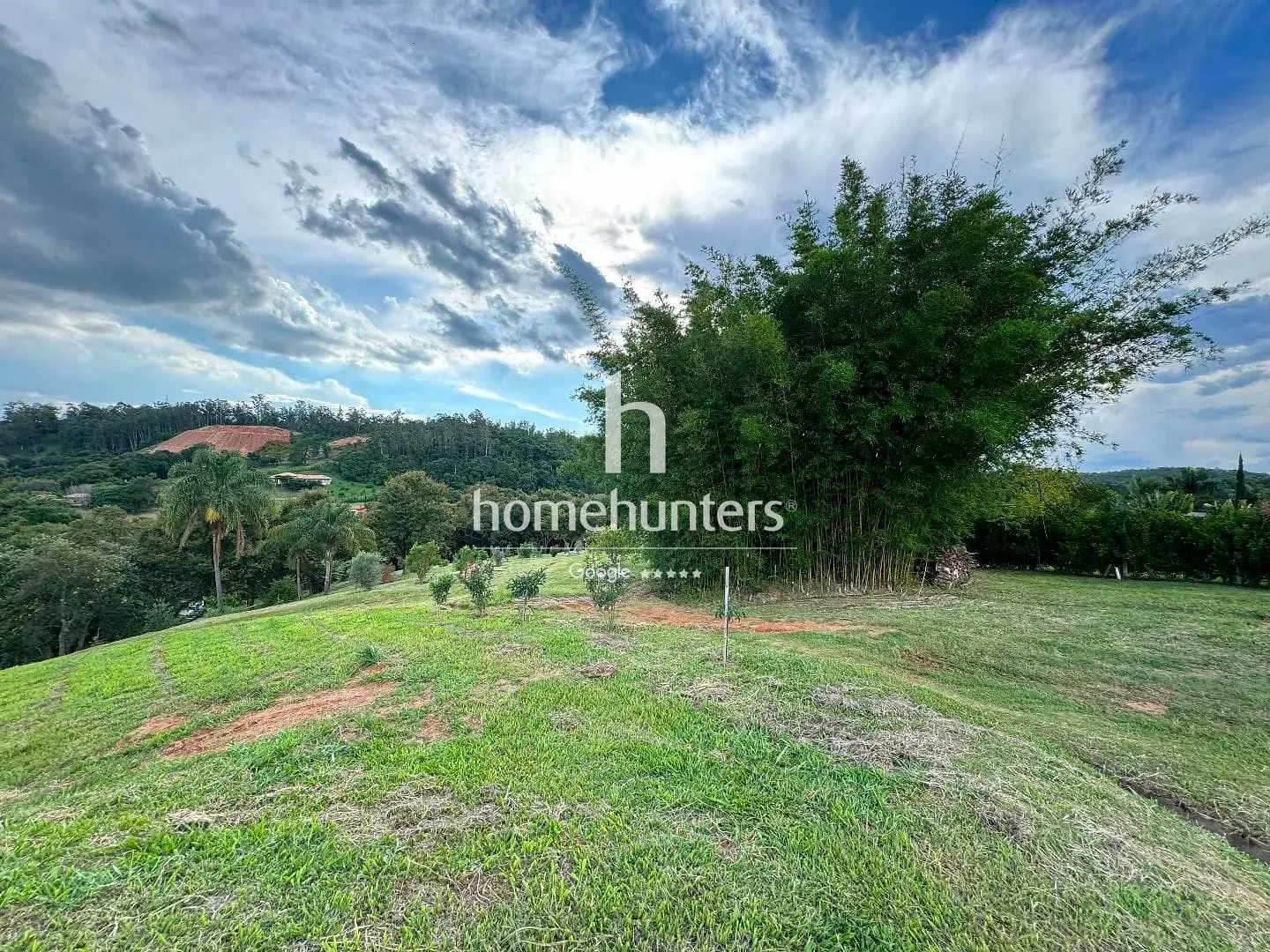Terreno, 2 hectares - Foto 12