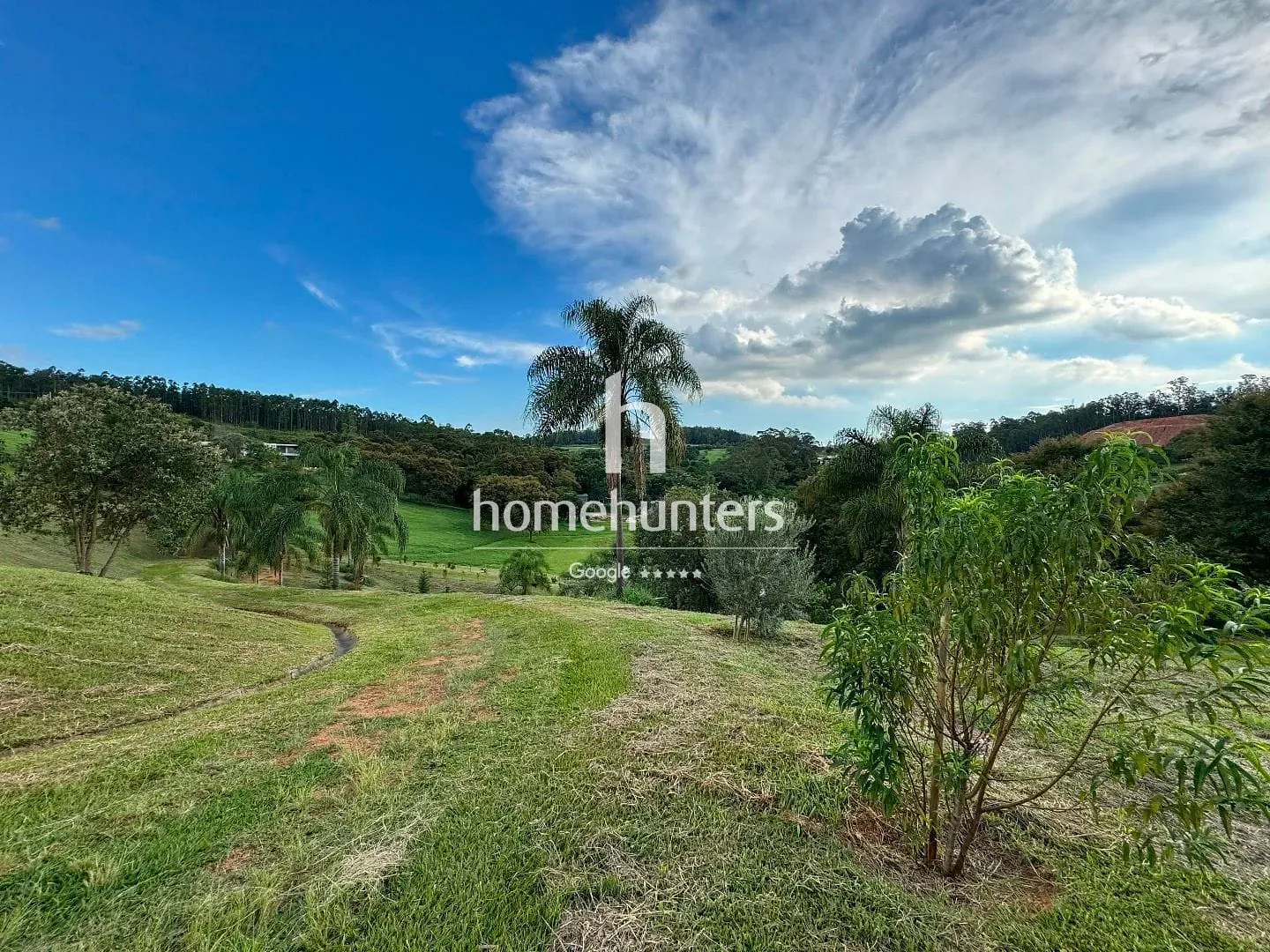 Terreno, 2 hectares - Foto 13