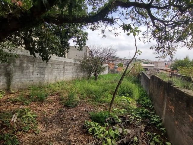 Foto do Terreno - Terreno à venda, 446 m² por R$ 556.000,00 - Vila Nhocune - São Paulo/SP | ZONA LESTE IMÓVEIS