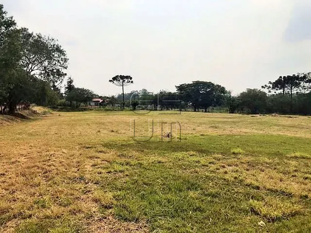 Terreno com 29202m², à venda, no bairro Gleba Fazenda Palhano em Londrina