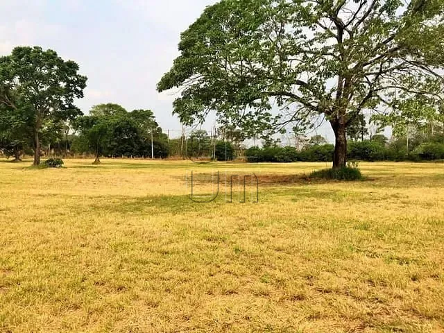 Terreno com 29202m², à venda, no bairro Gleba Fazenda Palhano em Londrina