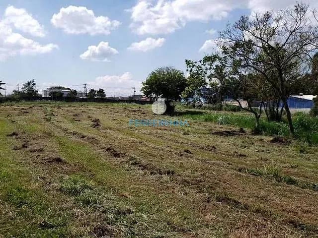 Terreno com 20000m², à venda, no bairro Jardim Califórnia em Jacareí