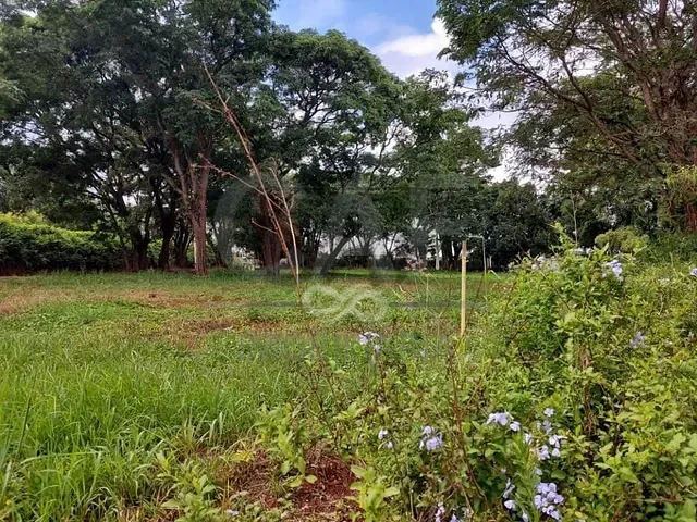 Terreno com 2317m², à venda, no bairro Centro em Holambra