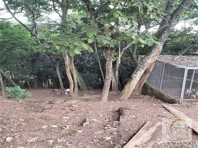 Terreno com 525m², à venda, no bairro Jardim Paulista em Atibaia