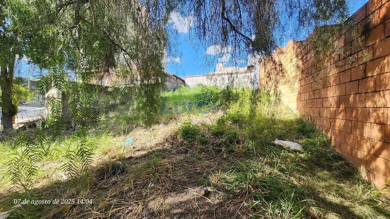 Terreno, 313 m² - Foto 4