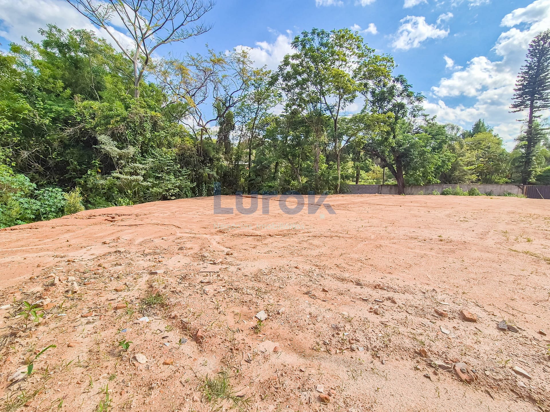 Terreno, 5034 m² - Foto 3