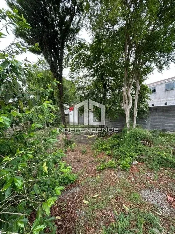 Terreno, 250 m² - Foto 31