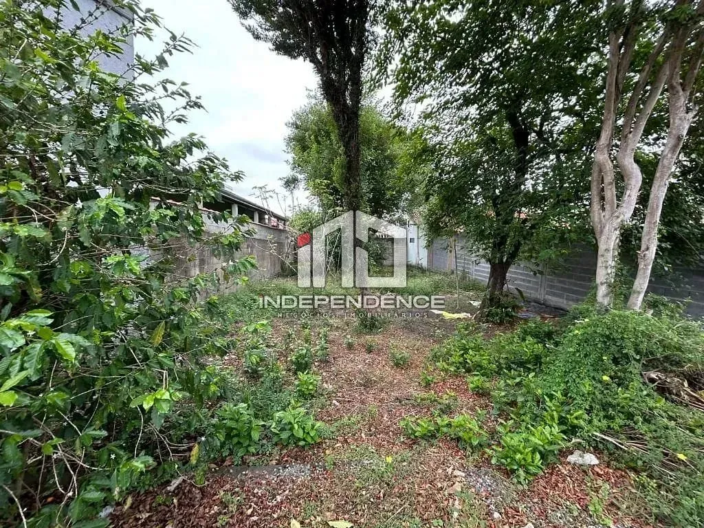 Terreno, 250 m² - Foto 36