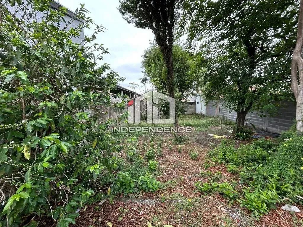Terreno, 250 m² - Foto 47