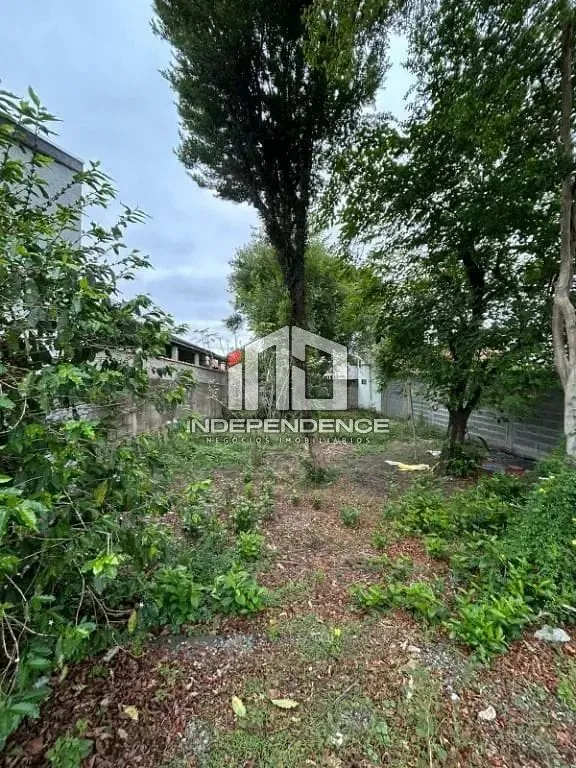 Terreno, 250 m² - Foto 16