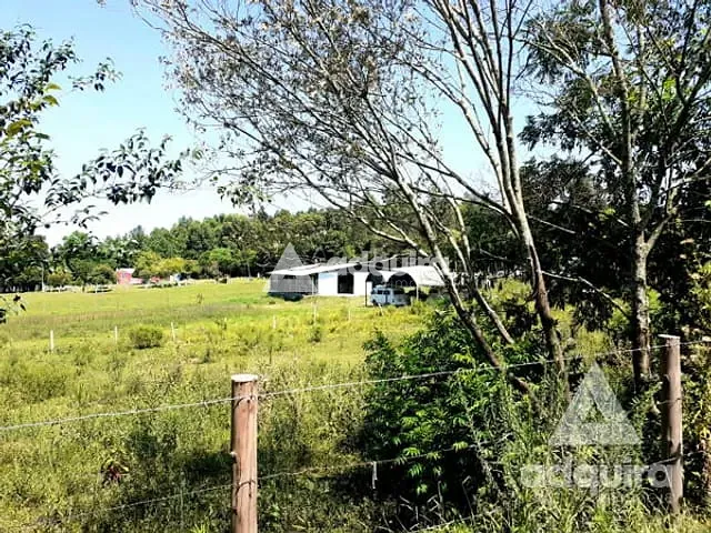 Terreno com 2948m², à venda ou para alugar, no bairro Cará-cará em Ponta Grossa