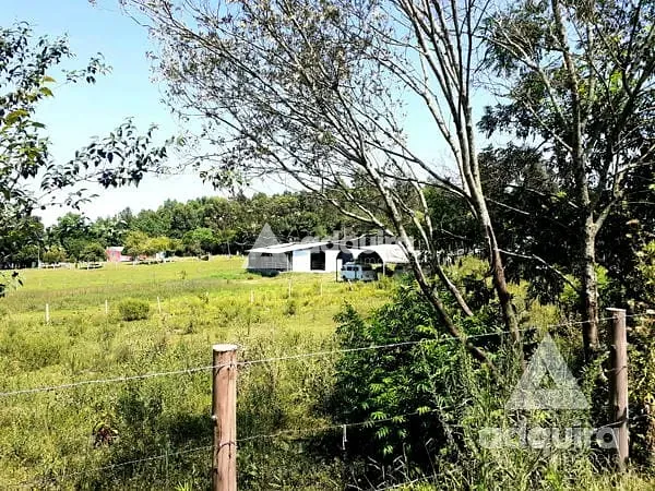Terreno, 2948 m² - Foto 4