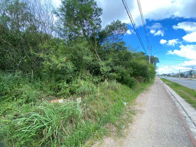 Terreno com 7000m², à venda, no bairro Três Vendas em Pelotas