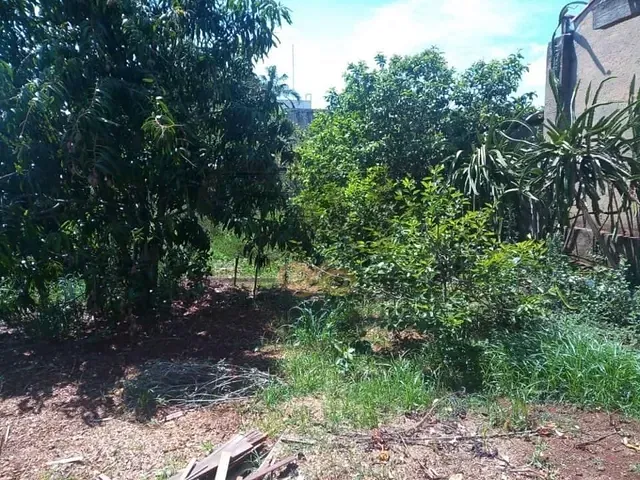 Terreno com 541m², à venda, no bairro Centro em Santo Antônio de Posse