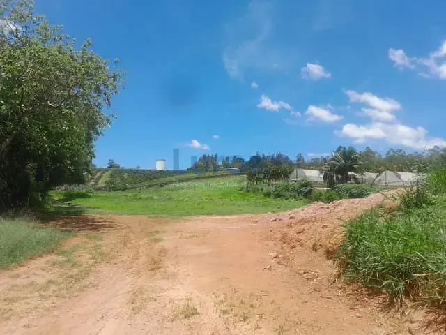 Terreno com 12000m², à venda, no bairro Ponte Preta em Louveira