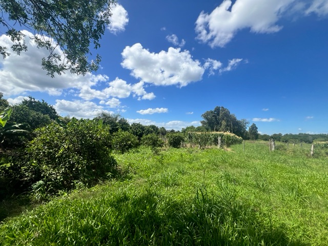 Terreno com 15885m², à venda, no bairro Três Vendas em Pelotas