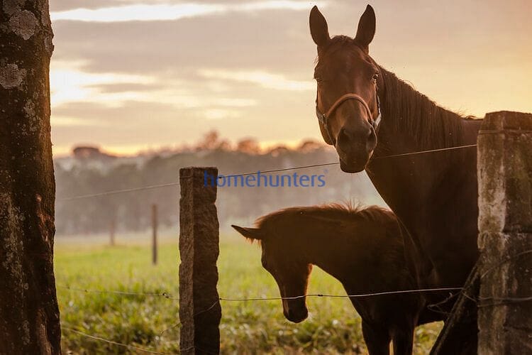 Terreno, 1216 m² - Foto 37