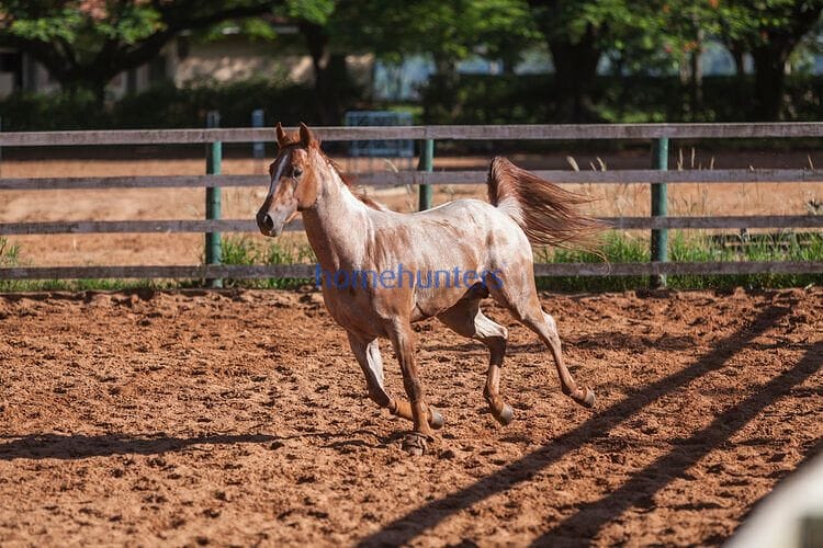Terreno, 1216 m² - Foto 38