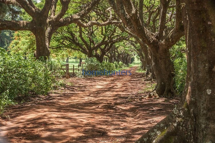 Terreno, 1234 m² - Foto 45