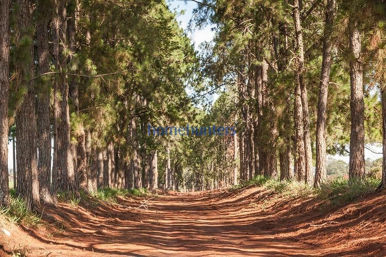 Terreno, 1234 m² - Foto 44