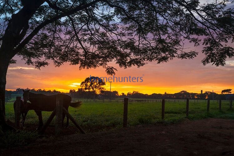 Terreno, 1234 m² - Foto 40