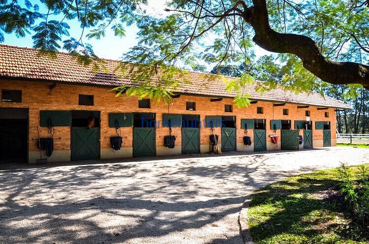 Terreno, 1234 m² - Foto 33