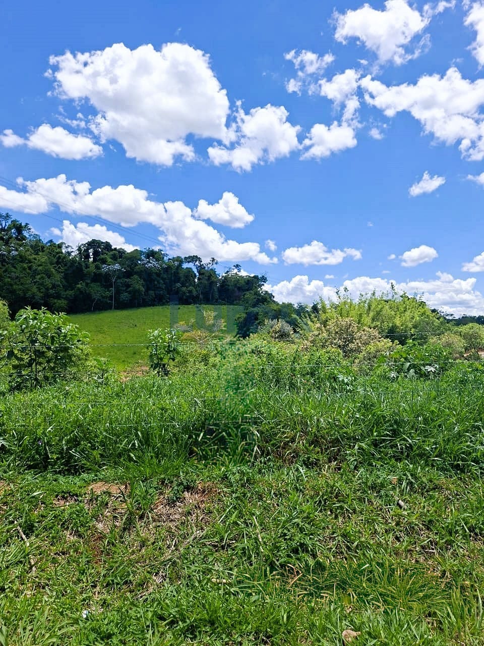 Terreno, 401 m² - Foto 1