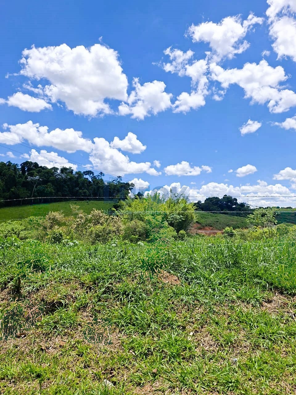 Terreno, 319 m² - Foto 1