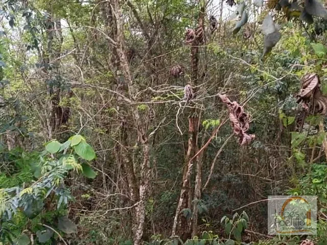 Terreno com 1000m², à venda, no bairro Estância Santa Maria em Atibaia