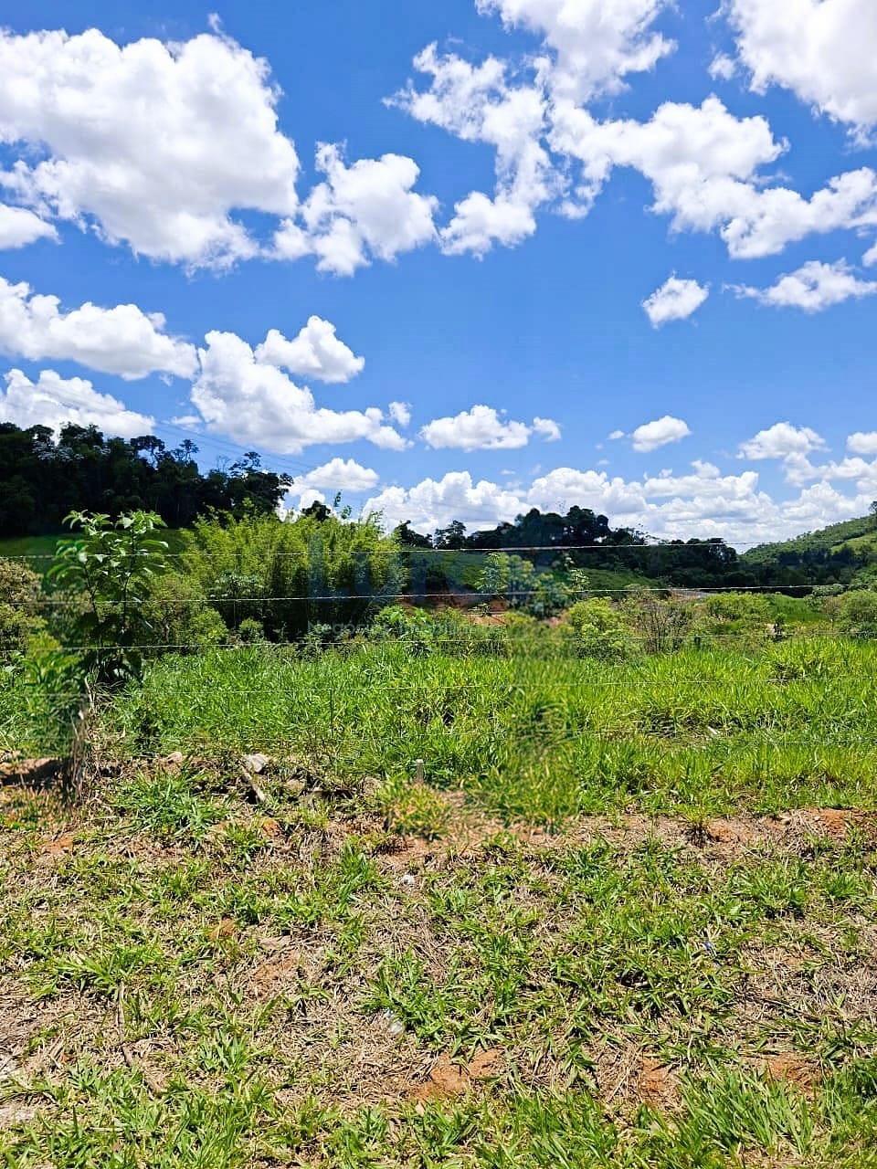 Terreno, 309 m² - Foto 1