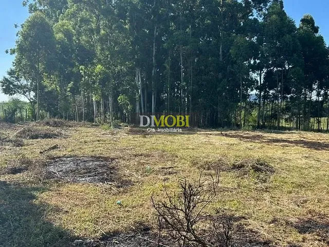 Terreno com 3008m², à venda, no bairro Parque dos Anjos em Gravataí