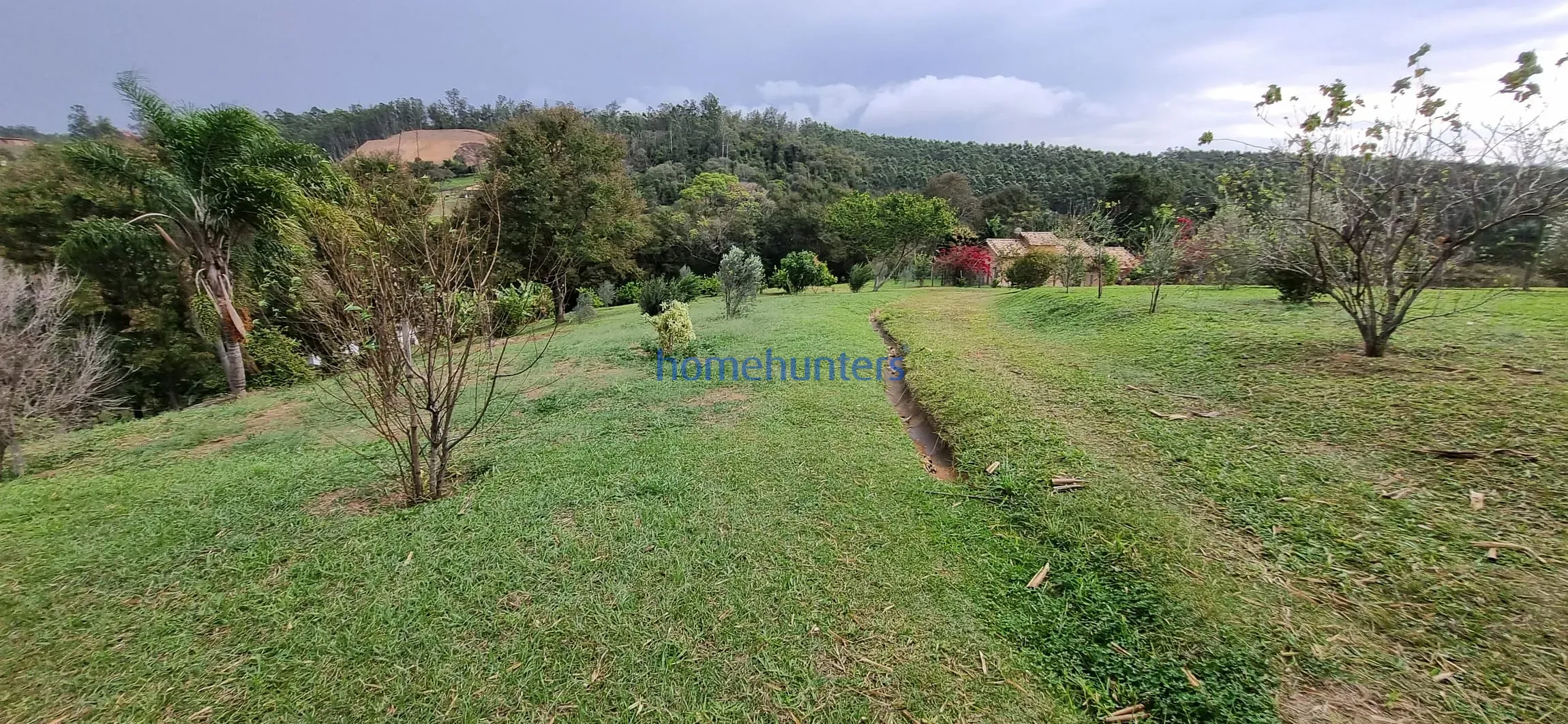Terreno, 2 hectares - Foto 6