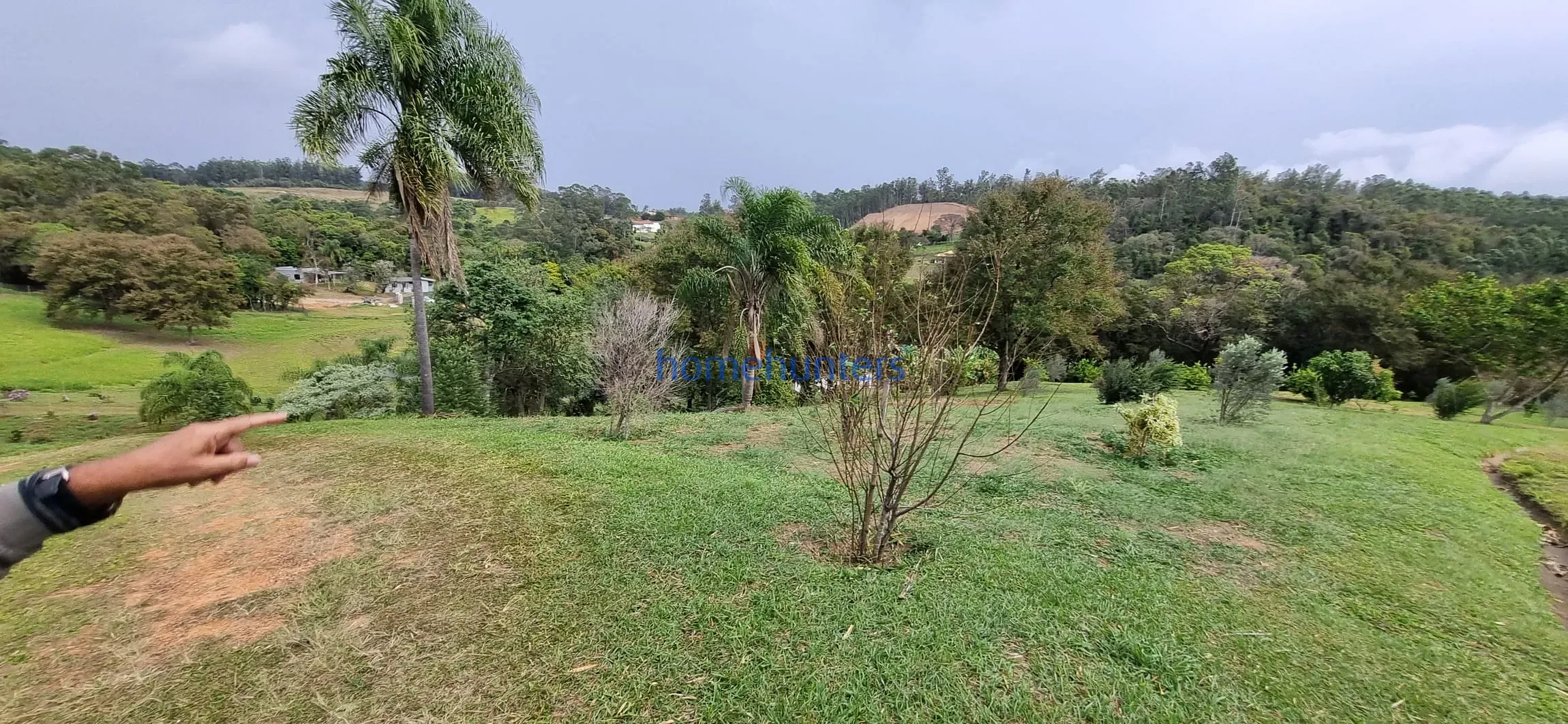Terreno, 2 hectares - Foto 7