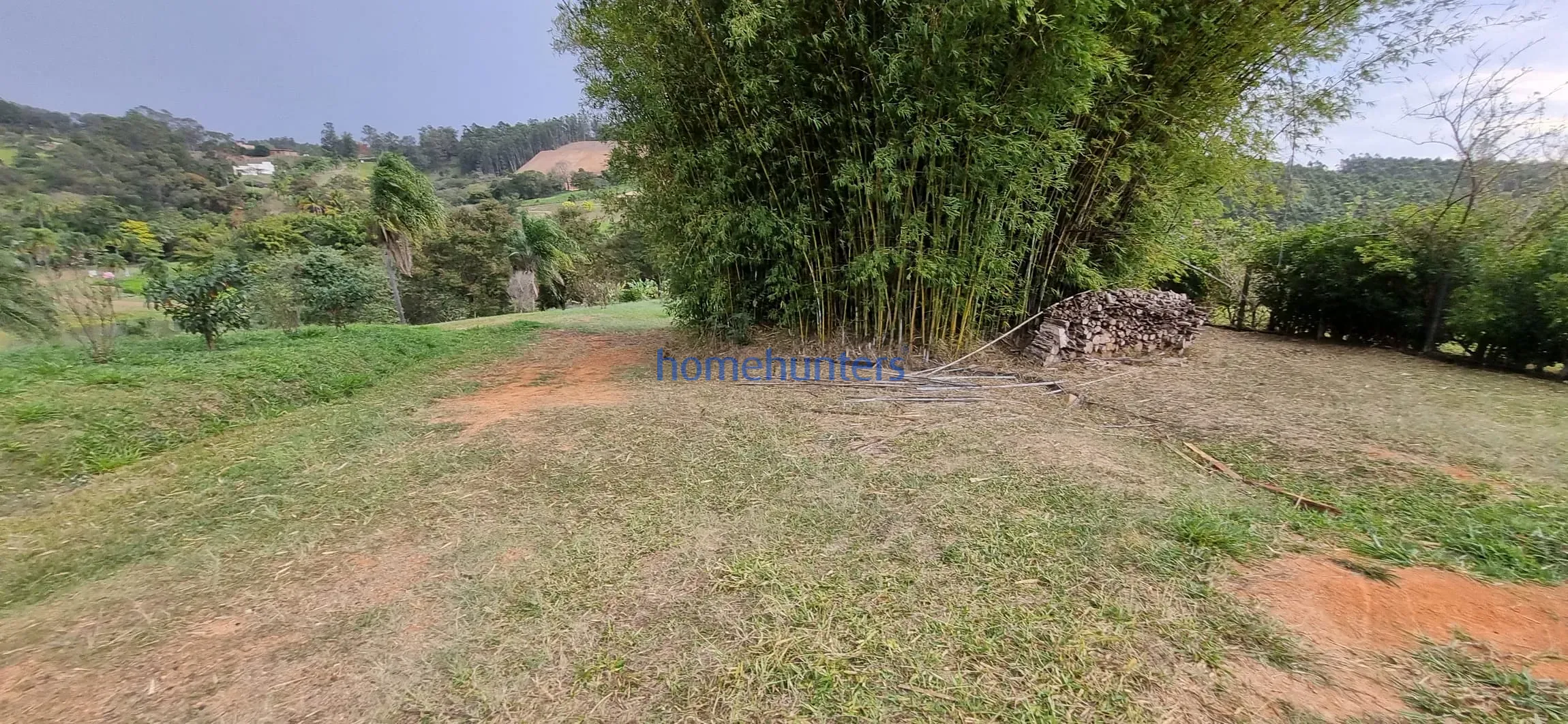 Terreno, 2 hectares - Foto 10