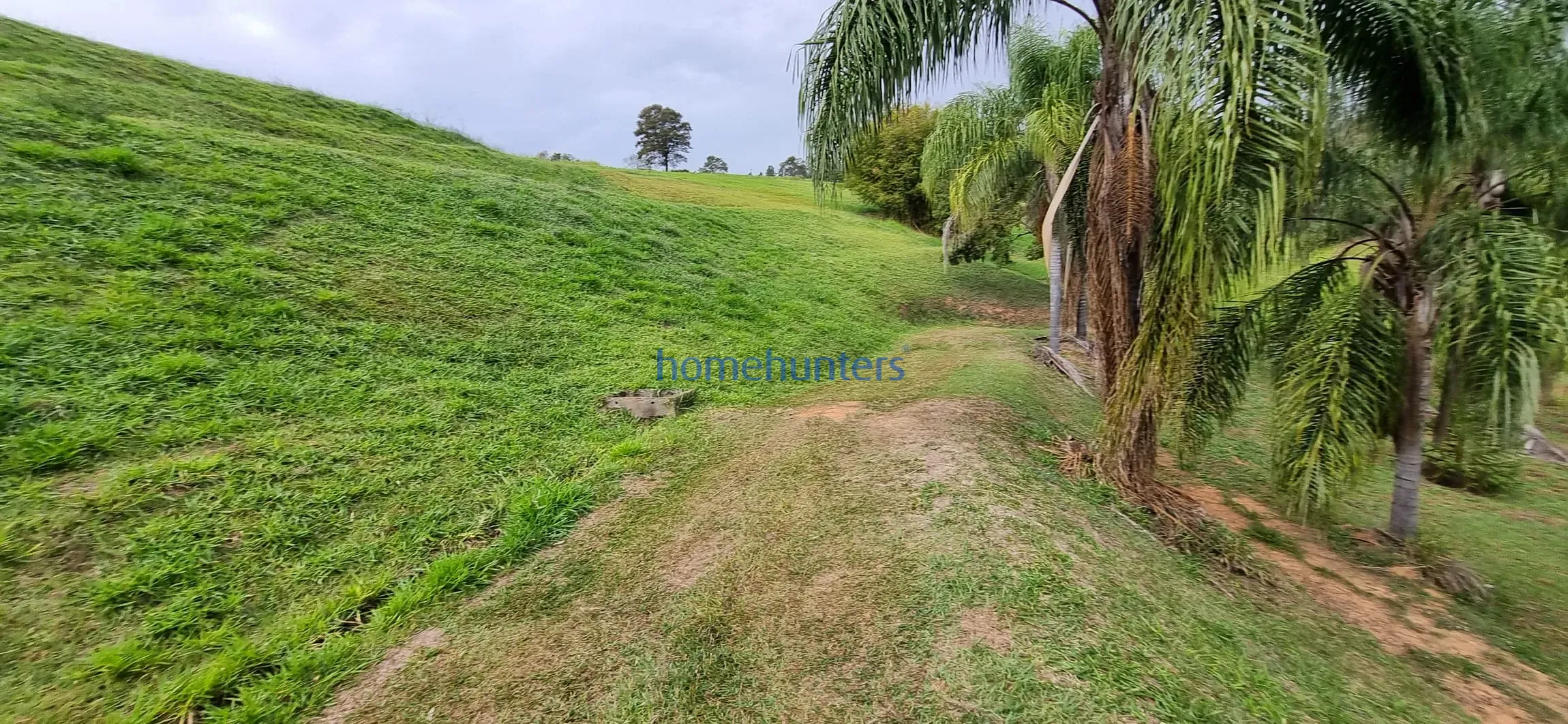 Terreno, 2 hectares - Foto 14