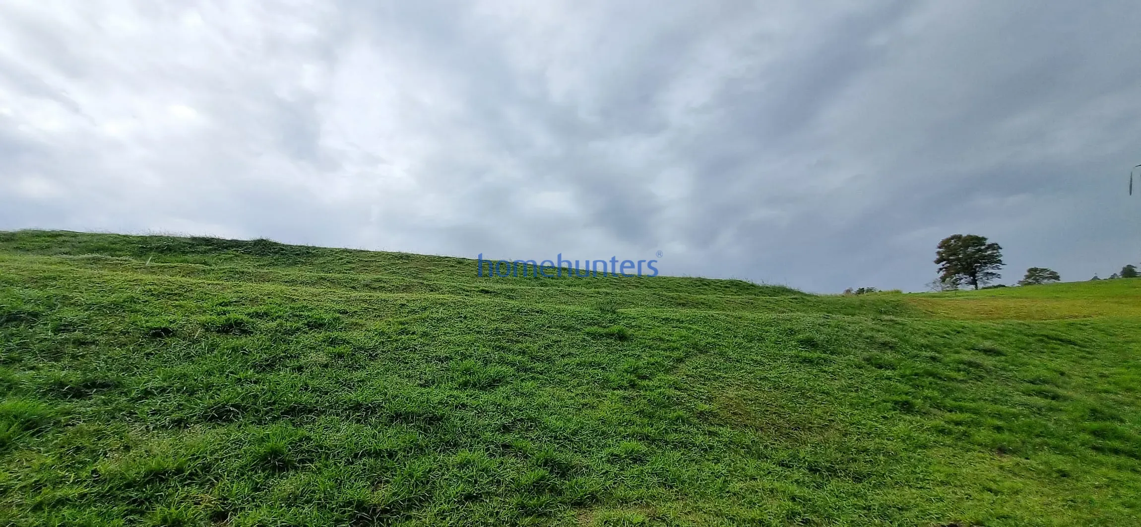 Terreno, 2 hectares - Foto 15