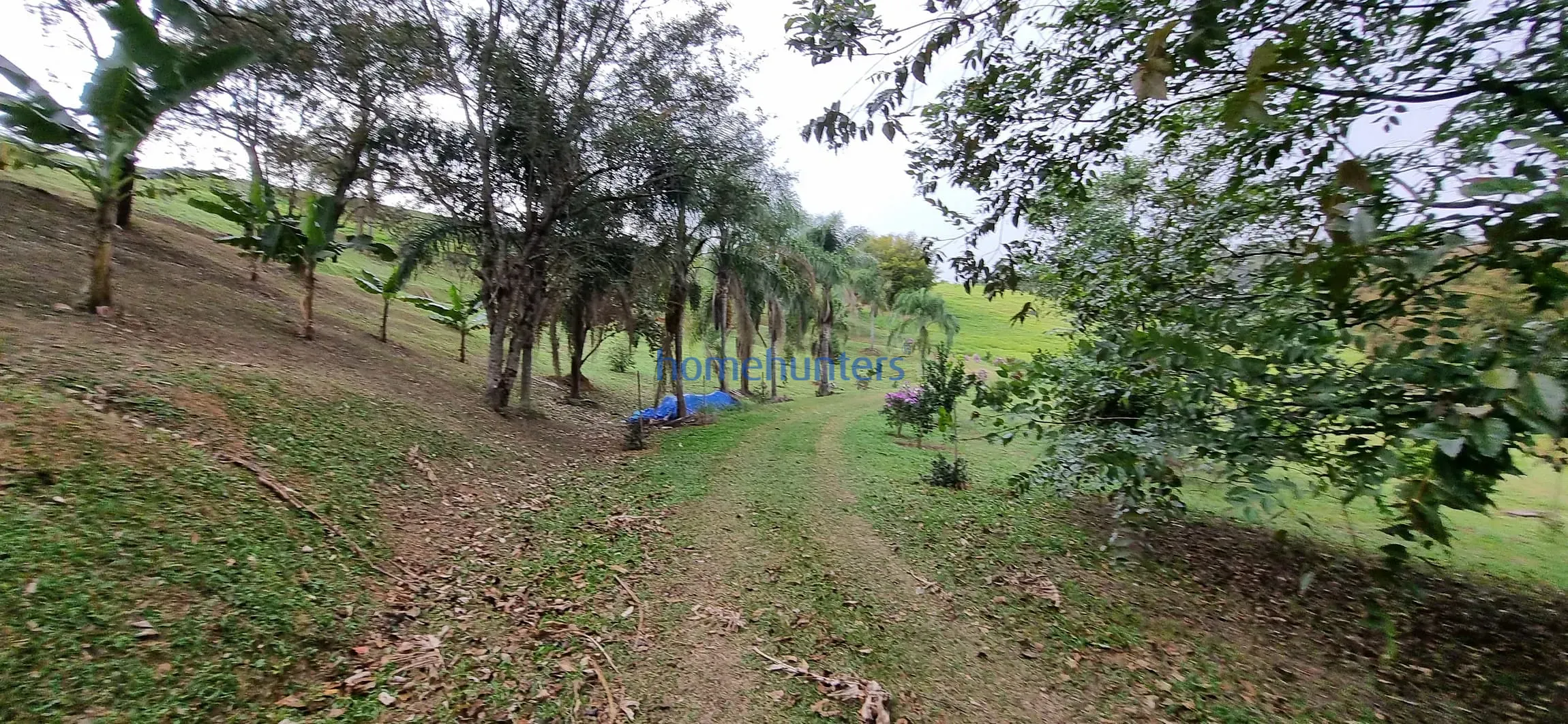 Terreno, 2 hectares - Foto 16