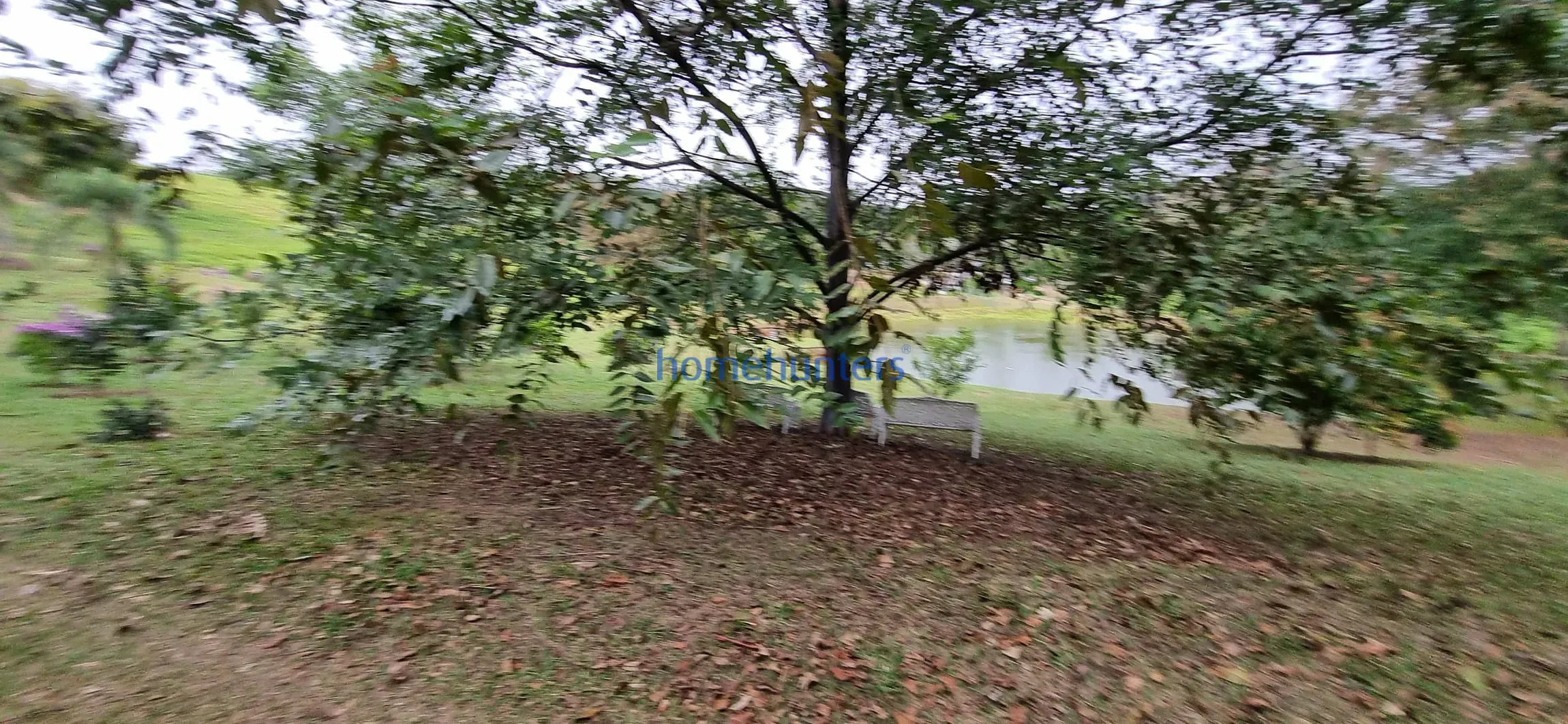 Terreno, 2 hectares - Foto 30