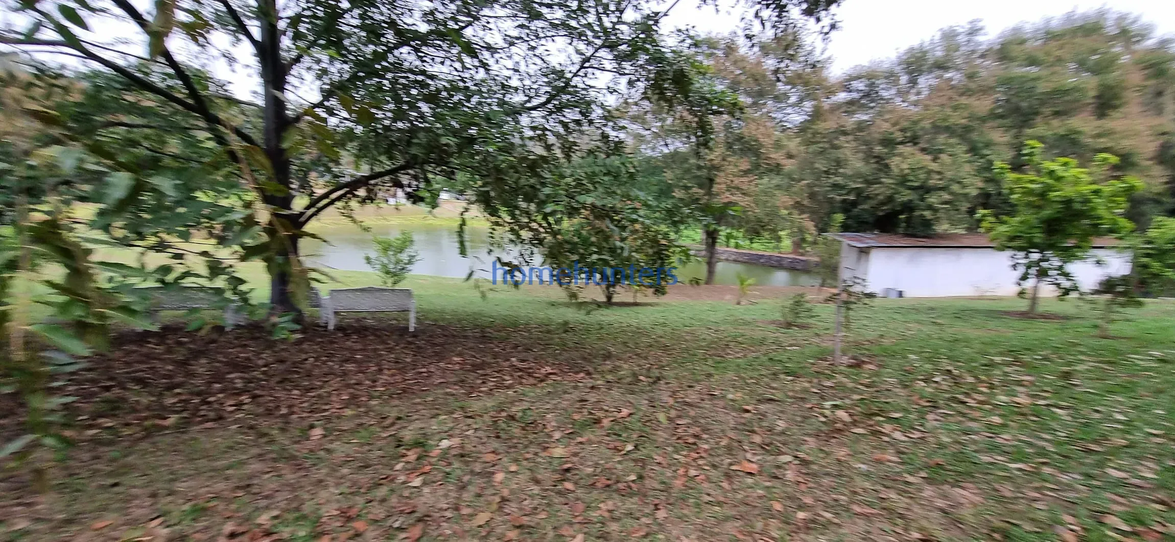 Terreno, 2 hectares - Foto 28