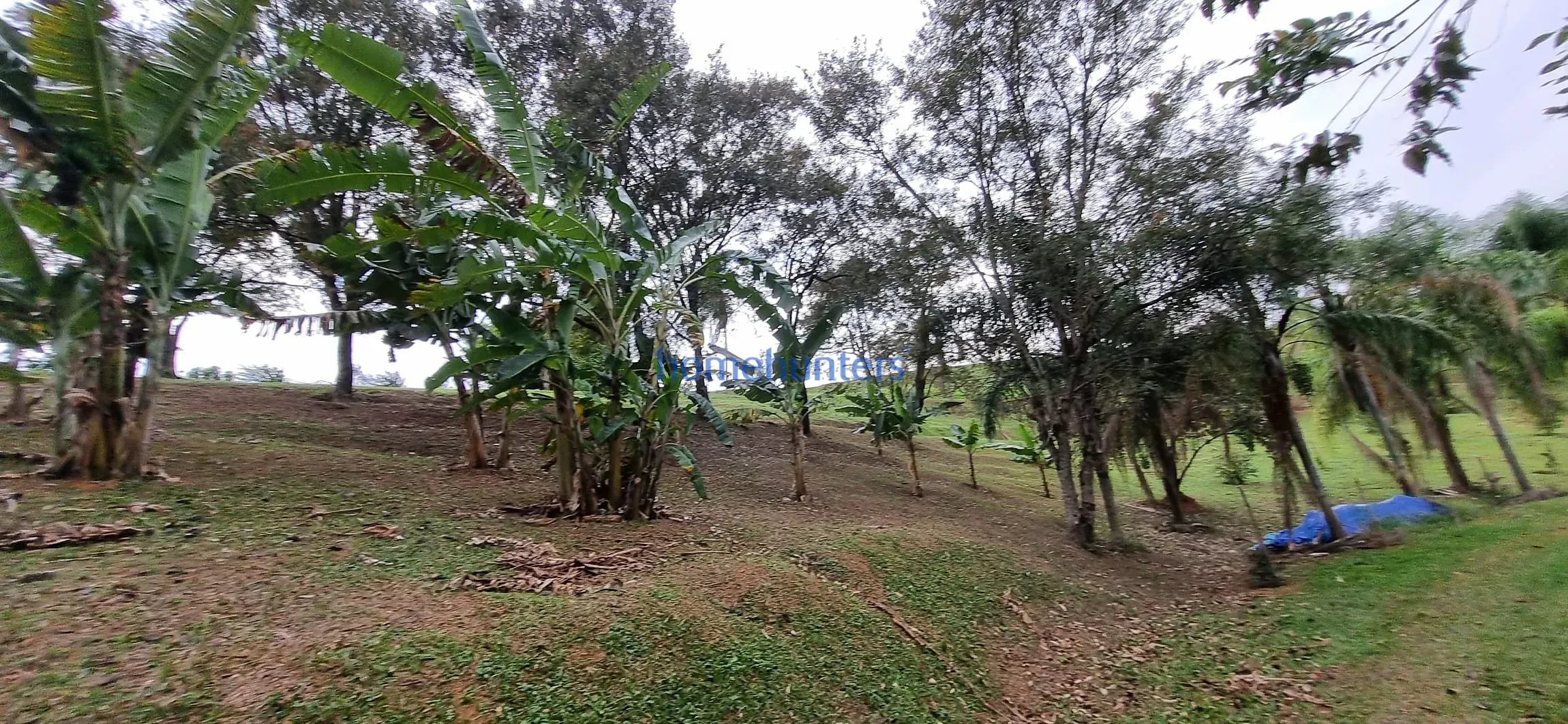 Terreno, 2 hectares - Foto 19