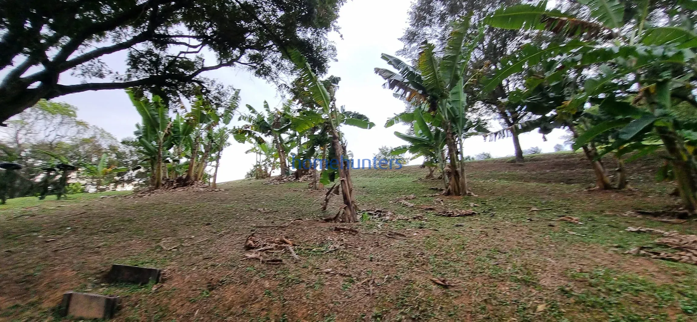 Terreno, 2 hectares - Foto 20