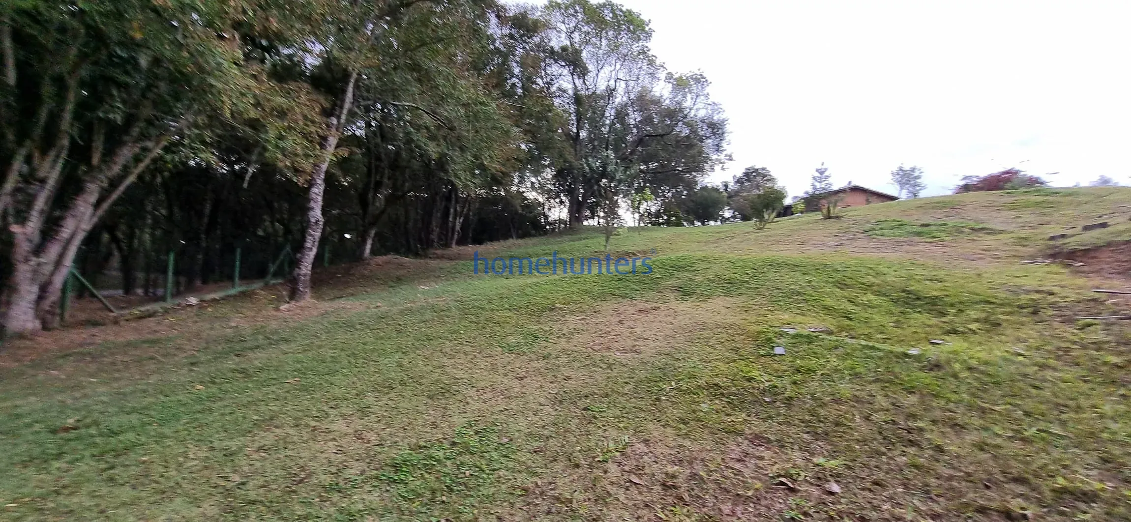 Terreno, 2 hectares - Foto 23