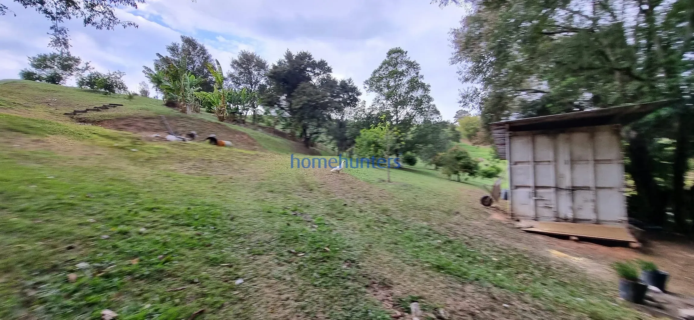Terreno, 2 hectares - Foto 26
