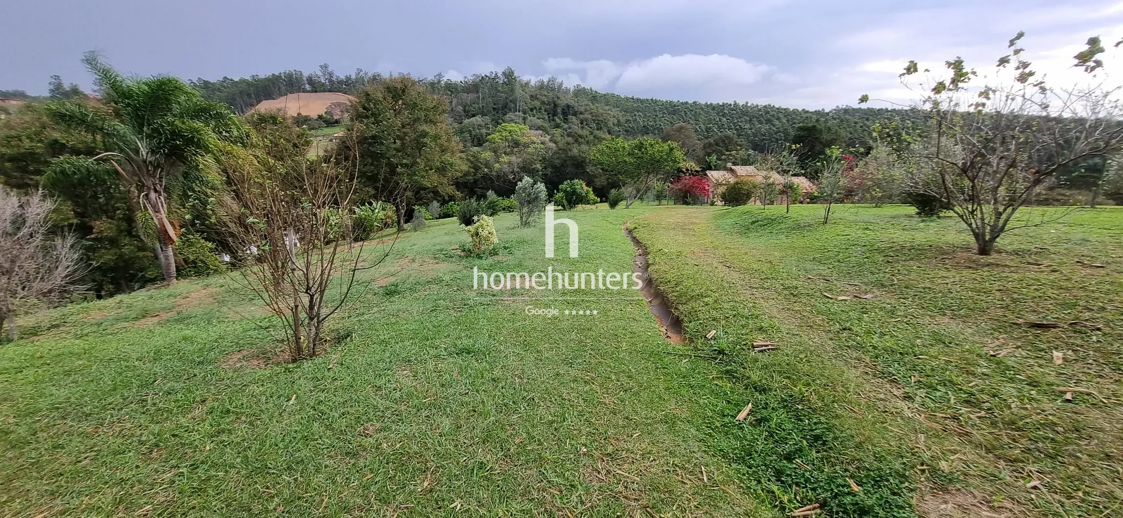 Terreno, 2 hectares - Foto 6