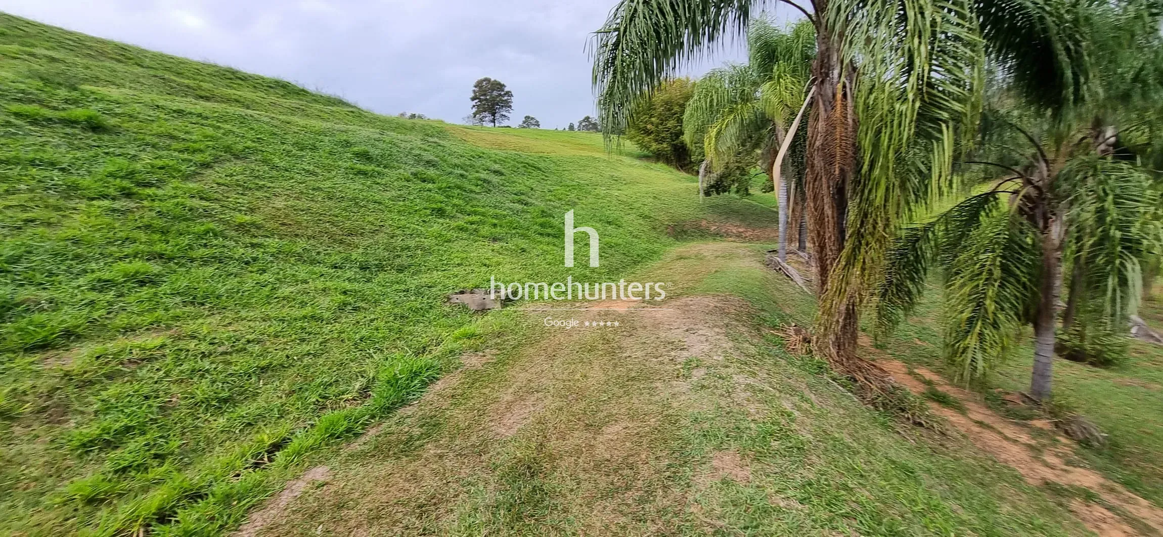 Terreno, 2 hectares - Foto 14